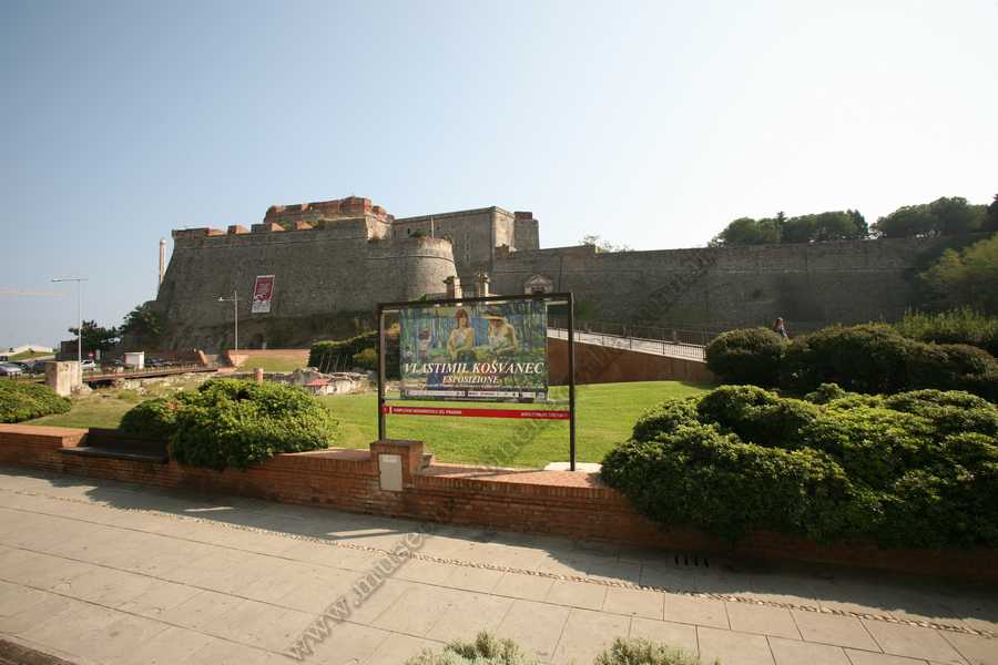 Kosvanec al Museo Priamar di Savona